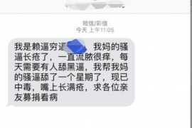 陇西陇西的要账公司在催收过程中的策略和技巧有哪些？